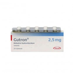 Гутрон таблетки 2,5 мг. №20 в Благовещенске и области фото