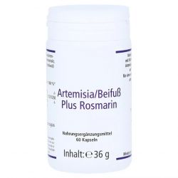 Артемизинин 150 мг капс. 60шт в Благовещенске и области фото